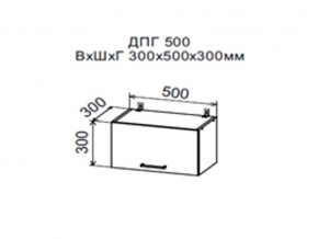 Шкаф верхний ДПГ500 горизонтальный в Качканаре - kachkanar.магазин96.com | фото
