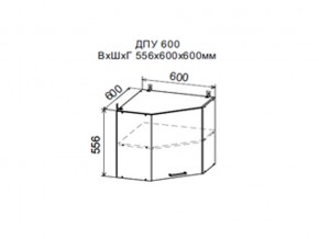 Шкаф верхний ДПУ600 угловой в Качканаре - kachkanar.магазин96.com | фото